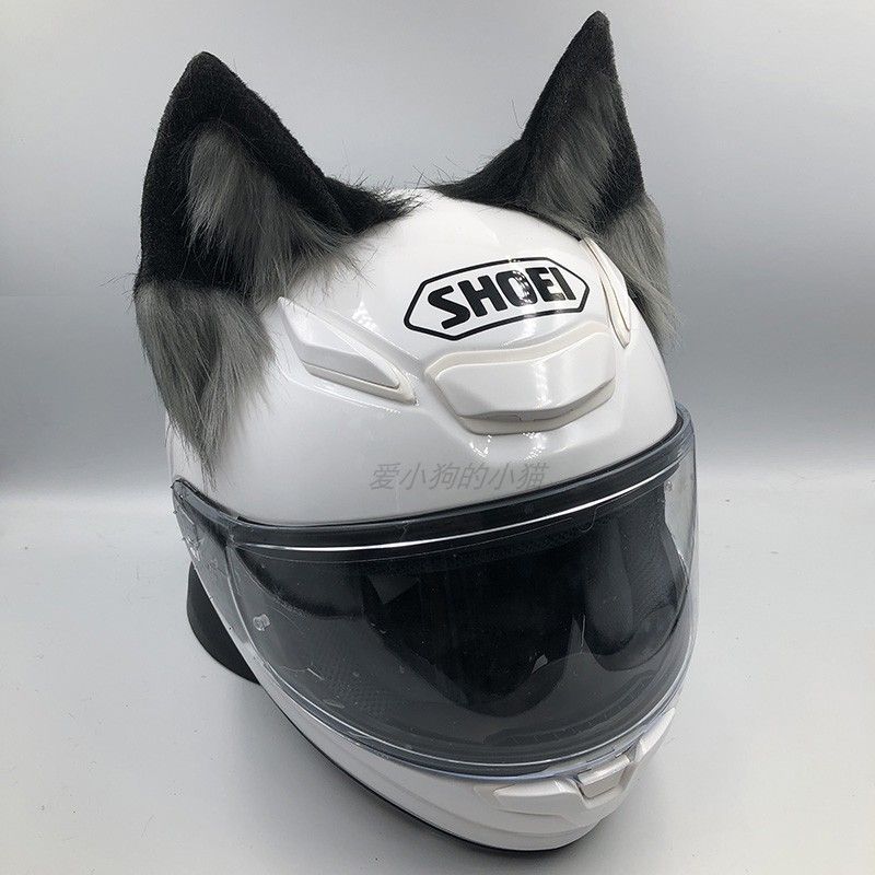Decoratieve motorhelm met hond - Motorcycle Helmets recensie en prijs